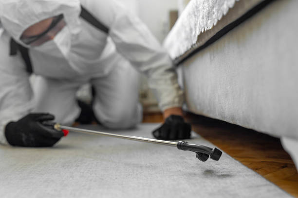 Professional Bed Bug Control technician working in Crystal Lawns, IL