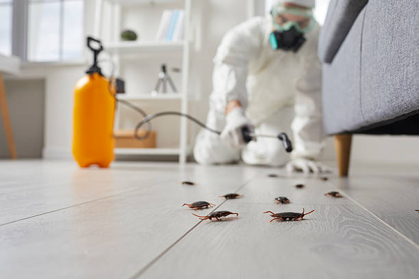 Trusted Cockroach Control service in Crystal Lawns, IL - Nex Pest Control
