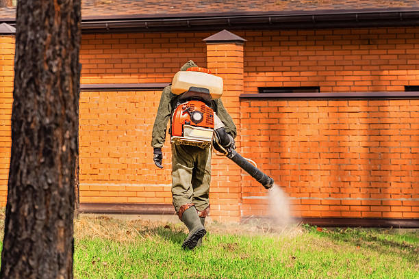 Trusted Ant Control service in Crystal Lawns, IL - Nex Pest Control